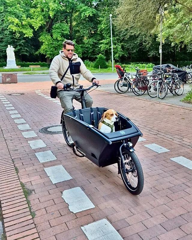 Urban Arrow Family