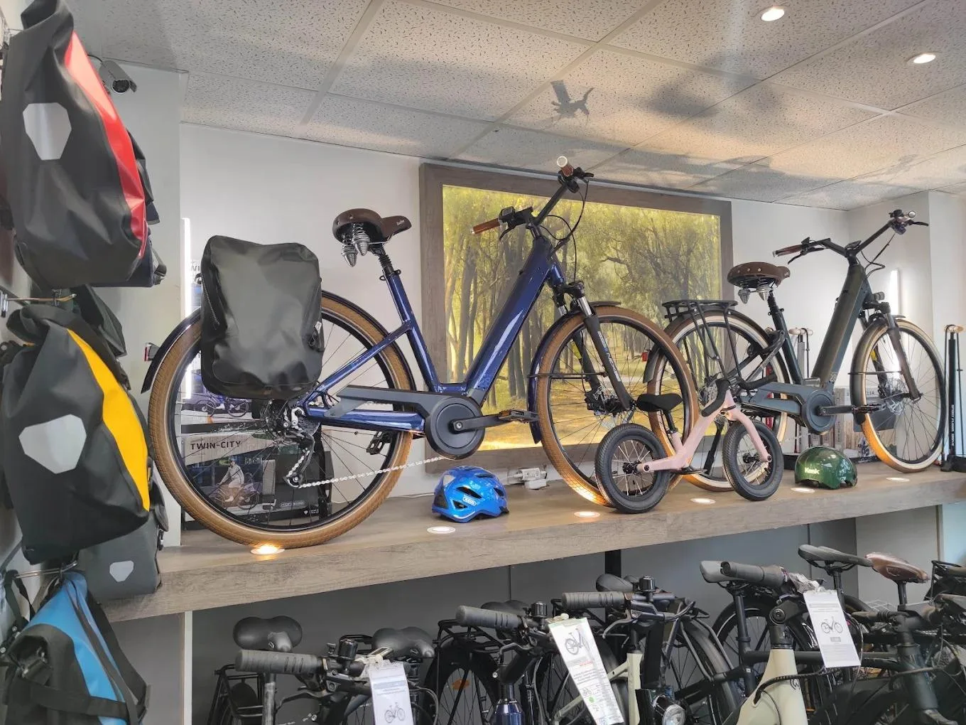 Magasin Ecox Paris 20e