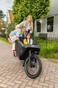 Urban Arrow FamilyNext — vélo électrique