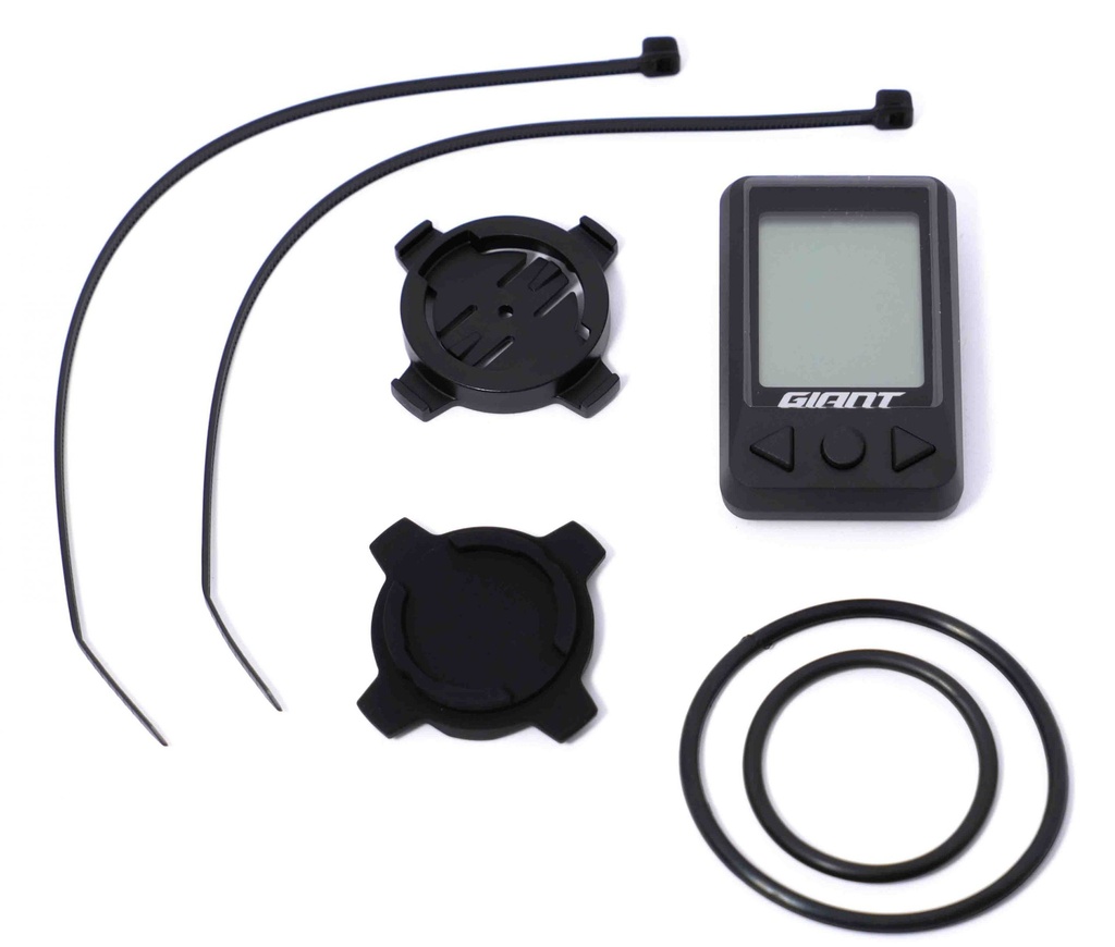 Giant Ridedash plus