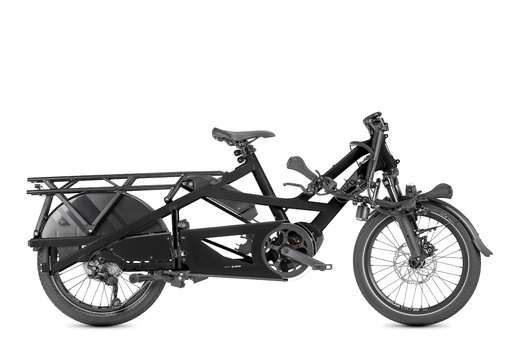 Tern GSD P10