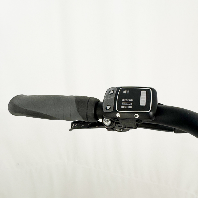 Giant Prime E+ 3 N8 - 3000km