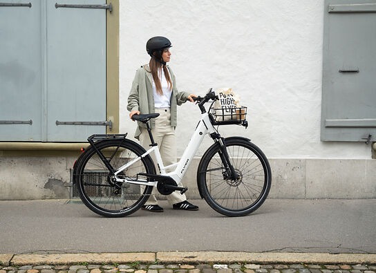 Flyer Gotour EL 3.40 - cadre ouvert