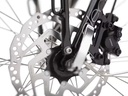 Electra Townie Commute Go! 5i Step-Thru