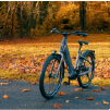 Gitane G-Life Urban 3