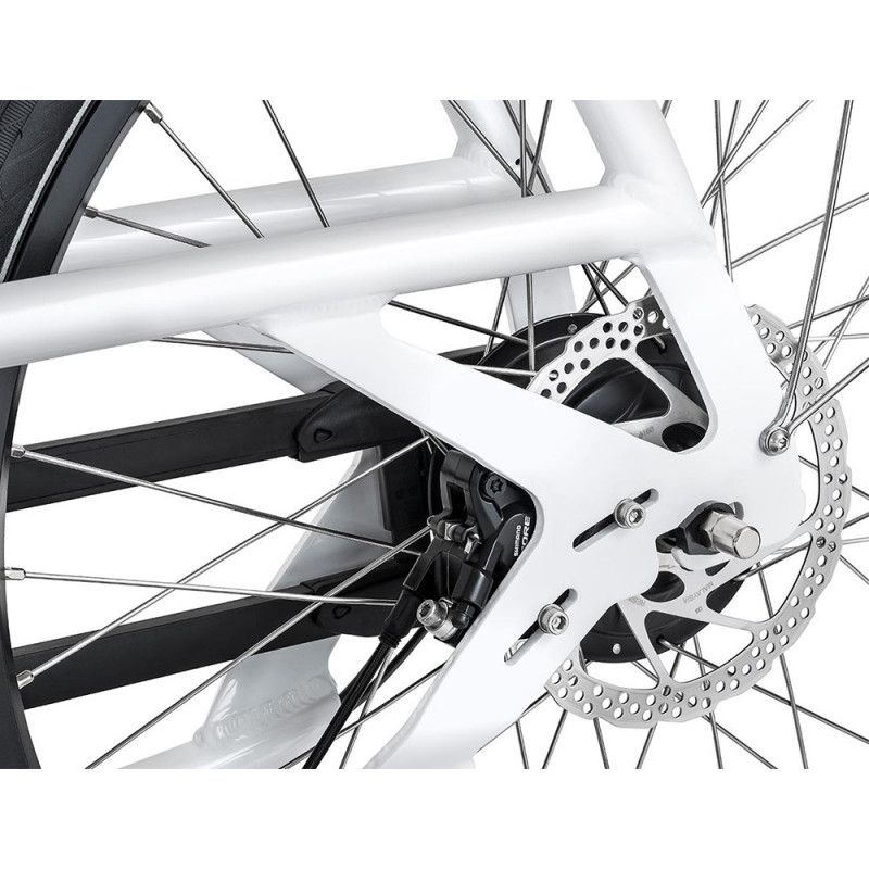 Urban Arrow Family Cargo Line