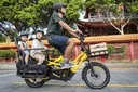 Tern GSD S10 LX — vélo électrique