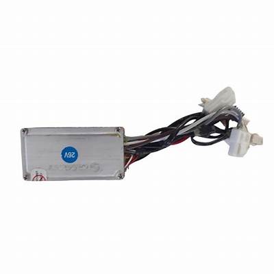 Giant Driver Twist Moteur Arrière 36V Simple batterie