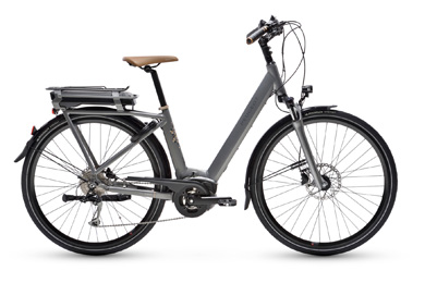 [ECOX184261] Peugeot eC01 D9+ (M, Gris, 500 Wh)