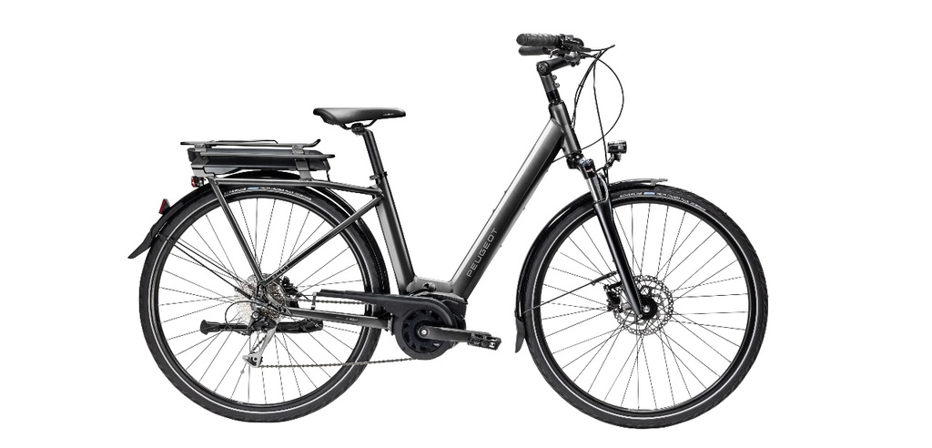 [ECOX272082] Peugeot eC01 D9 Active (S, Gris, 300 Wh)