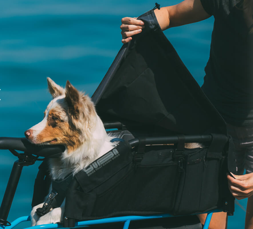 [ECOX274500] Yuba Wooftop