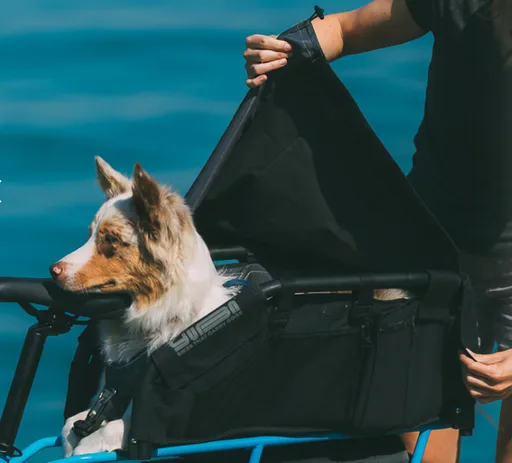 Yuba Wooftop — vélo électrique