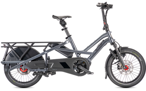 [ECOX292680] Tern GSD R14 (Gris, 800 Wh)