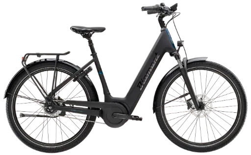 [ECOX301340] Trek/Diamant Beryll Gen 3 lowstep (XS, Noir, 545 Wh)
