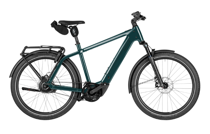 [ECOX319150] Riese & Müller Charger 5 Vario (S, Vert, 800 Wh, Sans Offroad kit, Sans Comfort kit, Sans puce RX Chip, Sans porte-bagages avant, Sans assistance au freinage)