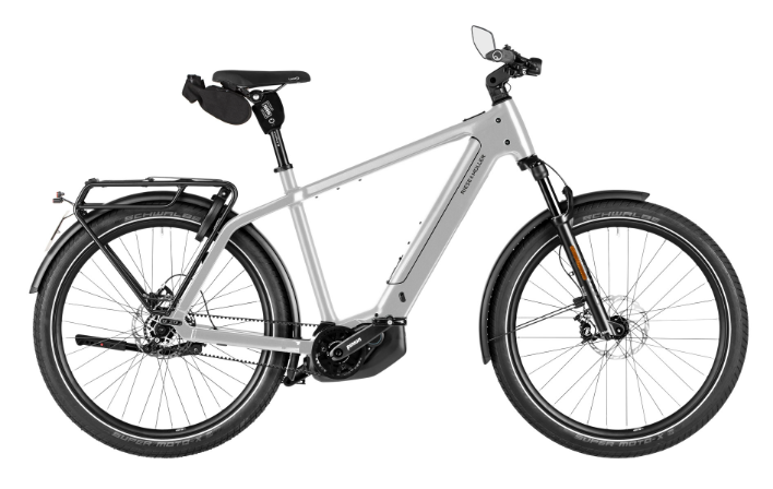 [ECOX322094] Riese & Müller Charger 5 Pinion HS (S, Vert, 800 Wh, Sans Offroad kit, Sans Comfort kit, Sans puce RX Chip, Sans porte-bagages avant)