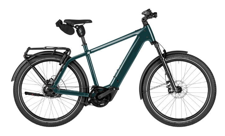 [ECOX322862] Riese & Müller Charger 5 Rohloff (S, Vert, 800 Wh, Sans Offroad kit, Sans Comfort kit, Sans puce RX Chip, Sans porte-bagages avant, Sans assistance au freinage)