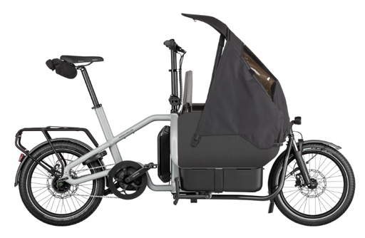 [ECOX348658] Riese & Müller Carrie Easy (Unique, Gris, 545 Wh)