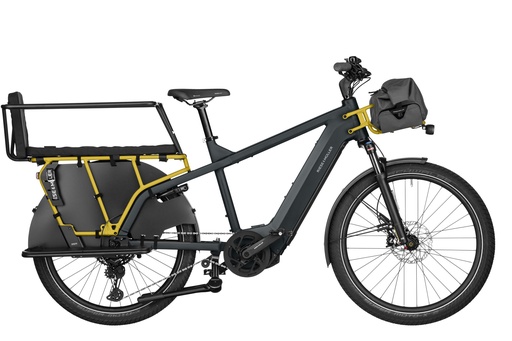 [ECOX354714] Riese & Müller Multicharger 2 GT vario (S/M, Gris/Curry, 750 Wh)