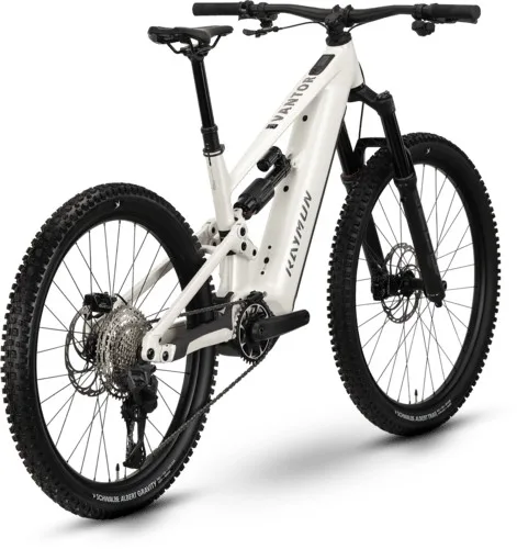Raymon Ravor LT Pro — vélo électrique