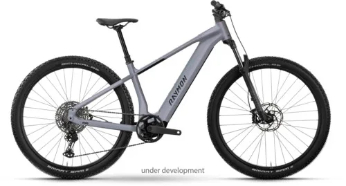 Raymon Zorq Elite — vélo électrique