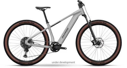 Raymon Zorq Ultimate — vélo électrique