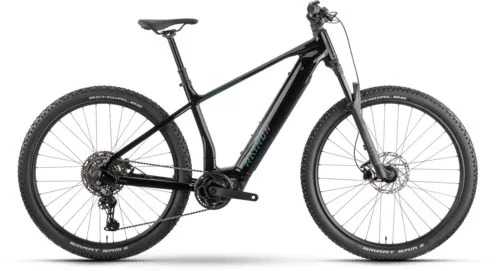 Raymon Zorq Ultra — vélo électrique