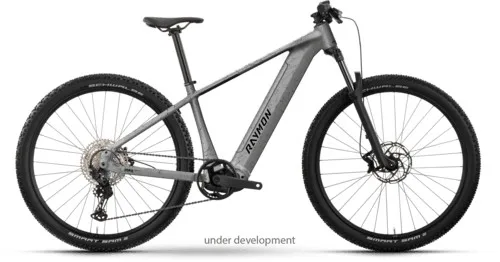 Raymon Zorq Pure — vélo électrique