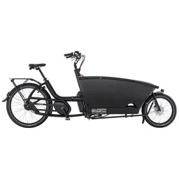Urban Arrow Family Cargo Line — vélo électrique