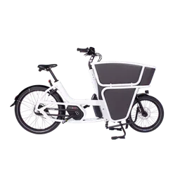 Urban Arrow Shorty Cargo Line — vélo électrique