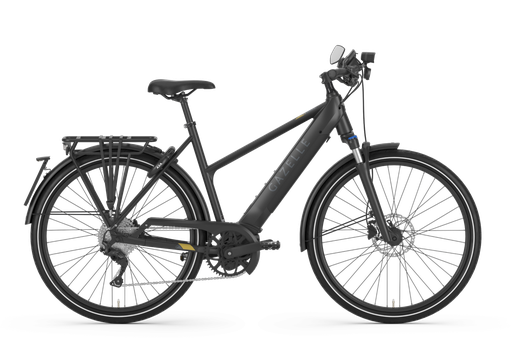 Gazelle Medeo Speed cadre trapèze