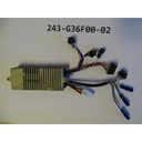 GIANT driver 36v single pedalplus-rpm syncdrive-f for 8s