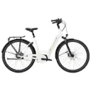 Trek/Diamant Beryll Gen 3 lowstep