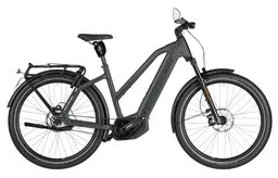 Riese & Müller Charger 5 Mixte Pinion HS — vélo électrique