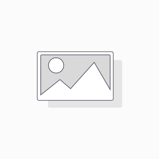 [ECOX351969] MINI POMPE ZEFAL ROAD MICRO 165 mm 7 BAR PRESTA/STANDARD ARGENT