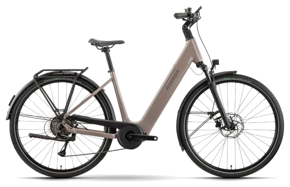 R Raymon Numa Pure — vélo électrique