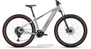 Raymon Zorq Ultimate — vélo électrique
