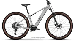 Raymon Zorq Ultimate — vélo électrique